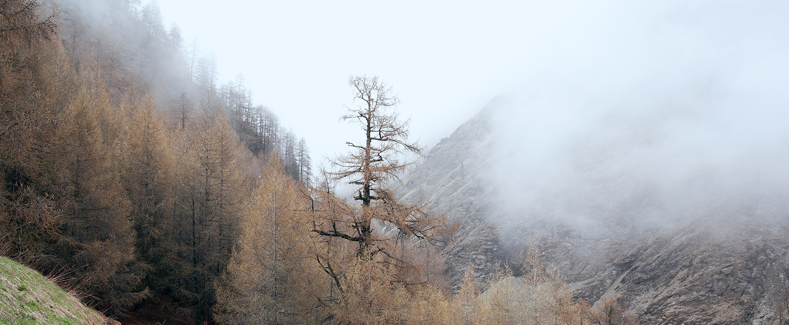 ddos在线攻击工具